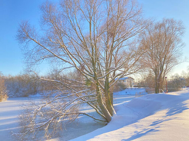 Behren-lès-Forbach sous la neige (2021)