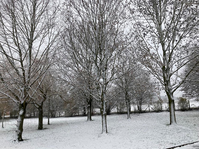 Behren-lès-Forbach sous la neige (2021)